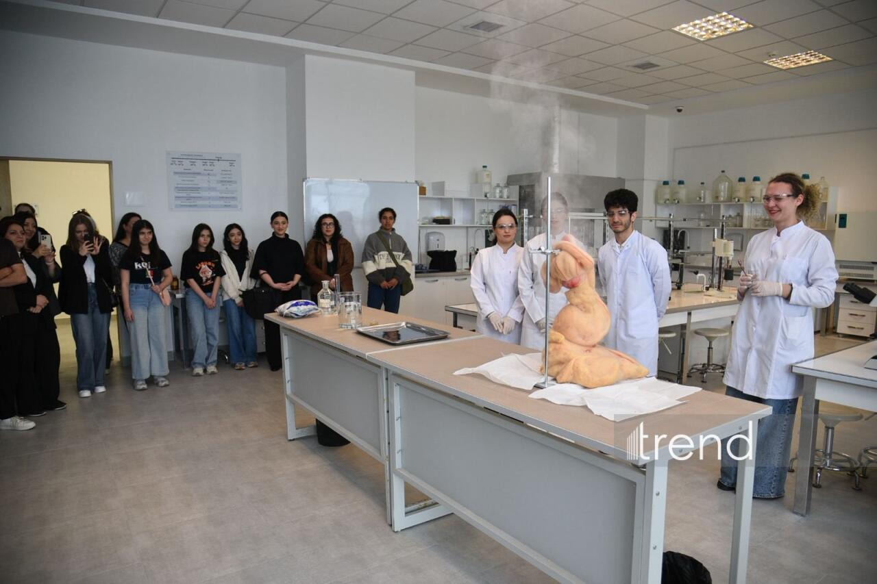 В Бакинском филиале МГУ имени М.В. Ломоносова прошел День открытых дверей на 2026/2027 учебный год