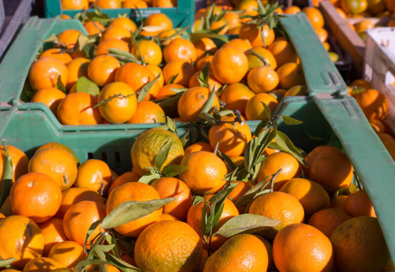 Мир накрывает апельсиновый кризис