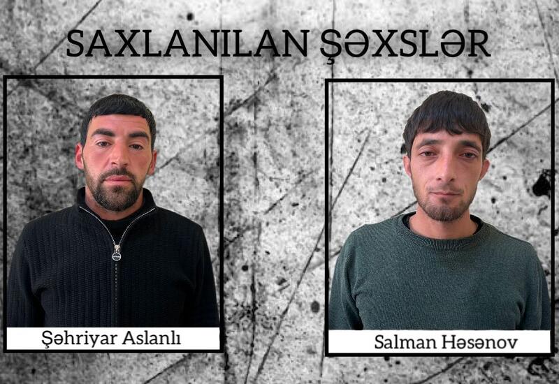 Şirvanda çətənə kolları yetişdirən iki nəfər saxlanılıb