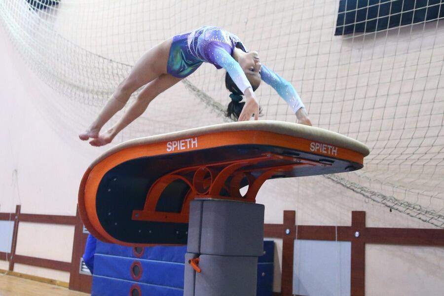 В Сумгайыте состоялось первенство Азербайджана по спортивной гимнастике