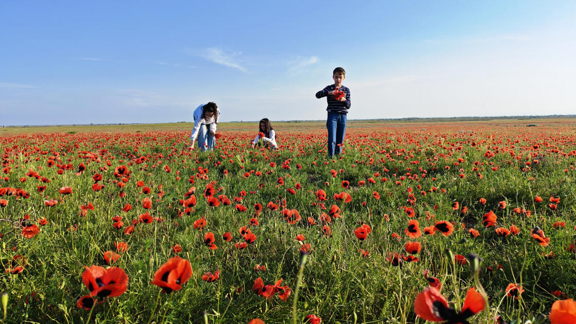 Багровое чудо природы: