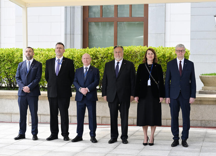 В Азербайджане состоялась церемония официальной встречи Премьер-министра Чехии Андрея Бабиша