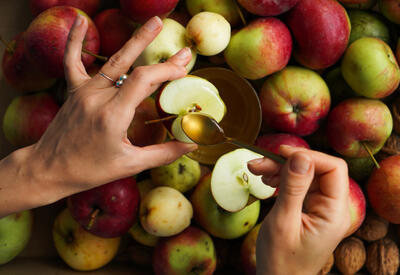 Современные яблоки продолжают эволюционировать