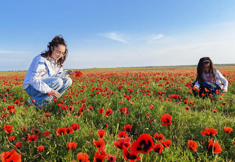 Багровое чудо природы:
