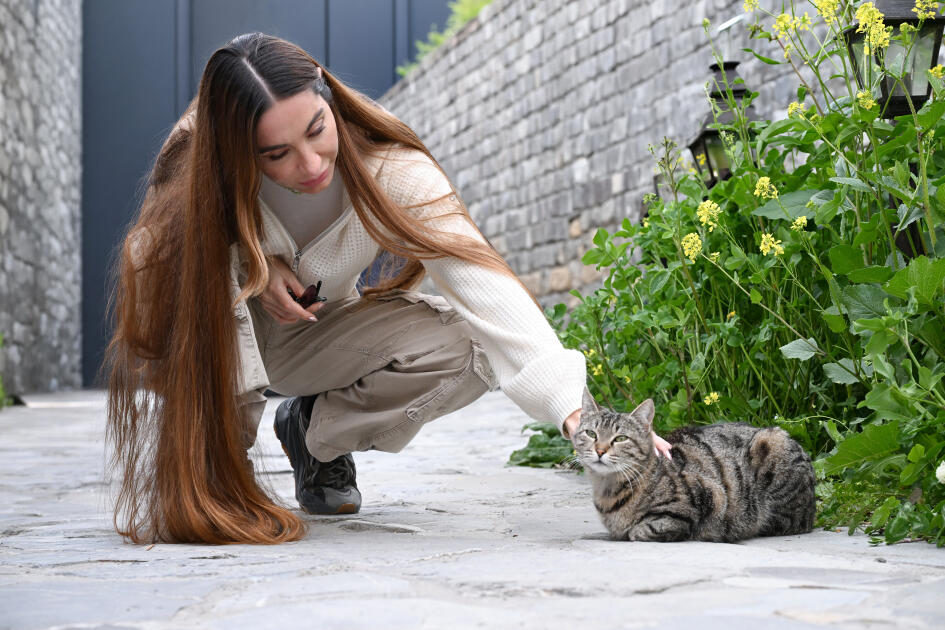 Лейла Алиева и Арзу Алиева приняли участие в открытии после восстановления историко-архитектурных памятников в Шеки