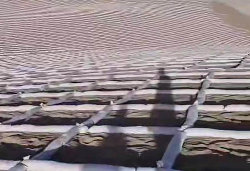 Китай продолжает программу по озеленению пустынь