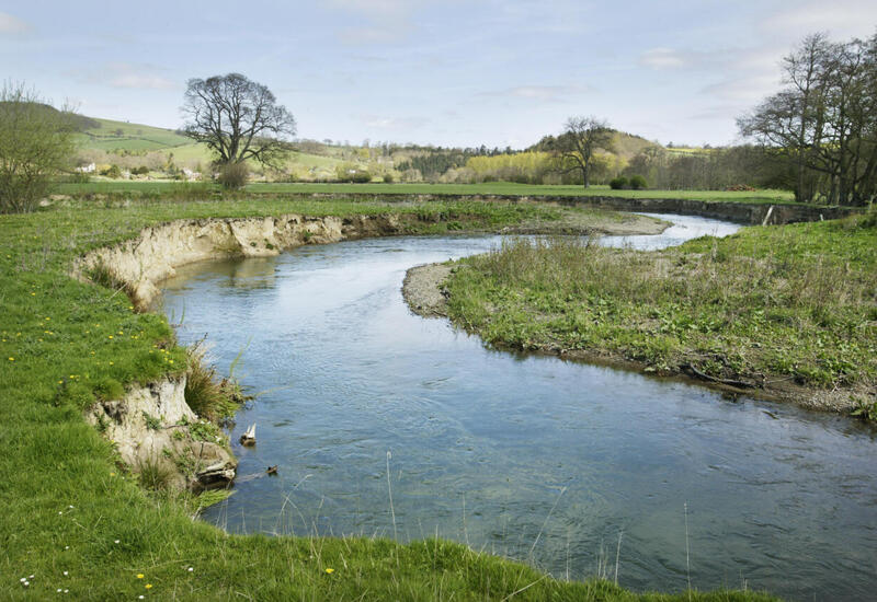 В пяти районах на реках будут построены защитные дамбы