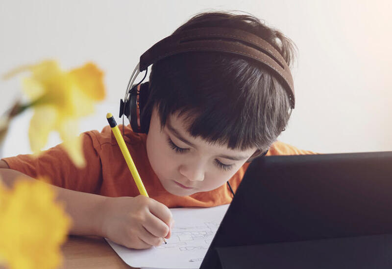 В Азербайджане назвали условия для перехода на дистанционное обучение