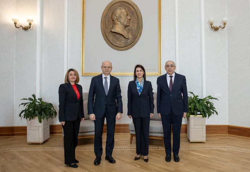 Минэнерго Азербайджана и Центр чистой энергии ОЭС обсудили новые проекты сотрудничества