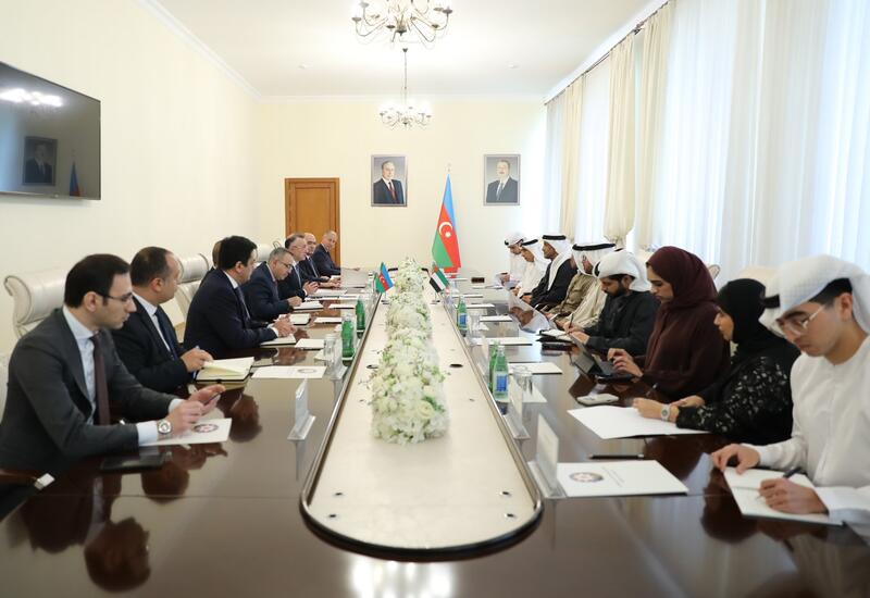Обсуждено сотрудничество в сфере здравоохранения Азербайджана и ОАЭ