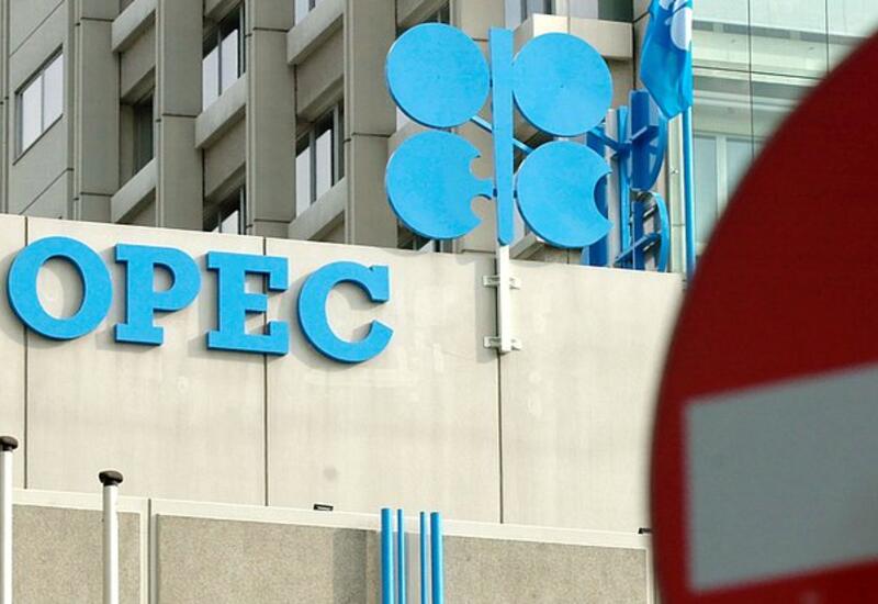 ОПЕК спрогнозировали незавидную участь