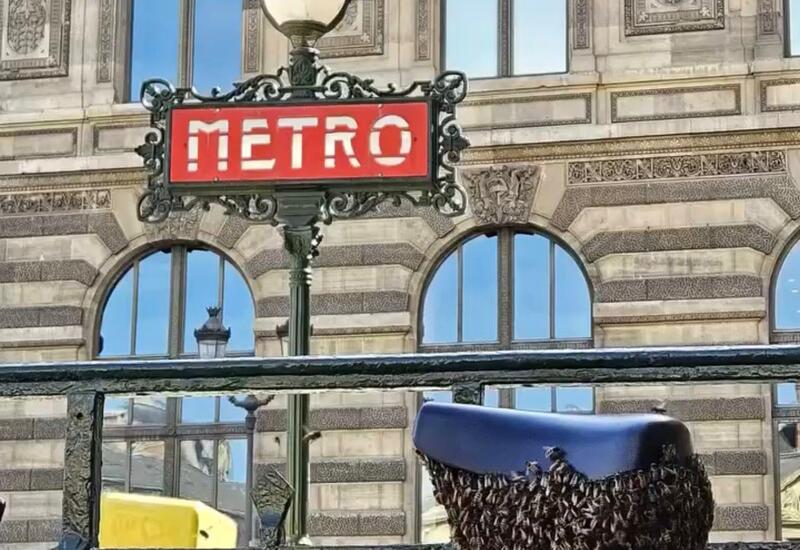 Рой пчел поселился в центре Парижа