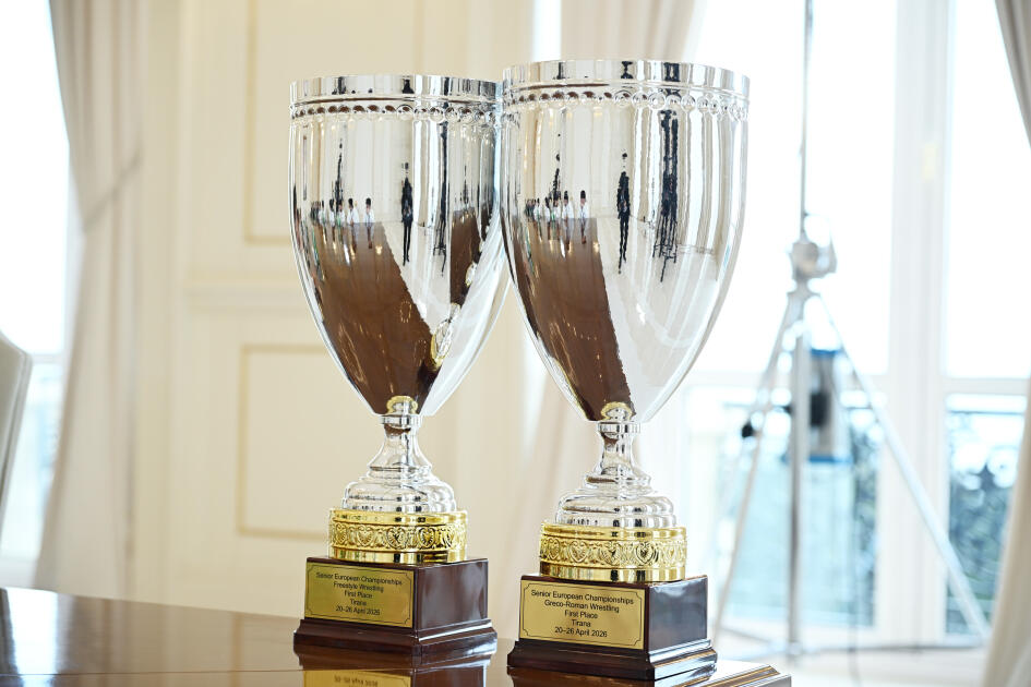 Президент Ильхам Алиев принял борцов, завоевавших первое место в командном зачете на чемпионате Европы