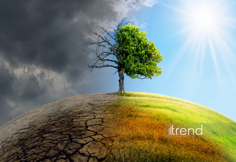 В Азербайджане разрабатывается новый закон о климате