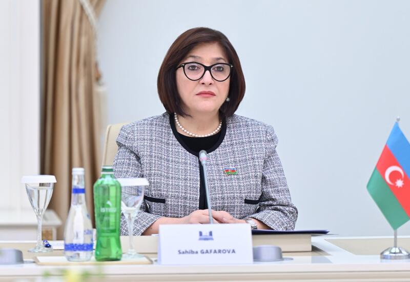 Документы, принятые Европарламентом против Азербайджана, неприемлемы