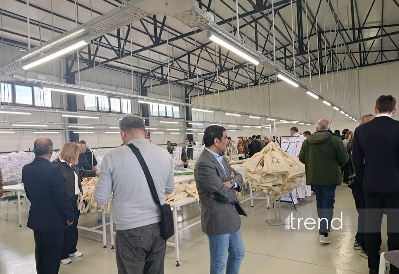 Представители дипкорпуса посетили агропромышленный парк в Лачине