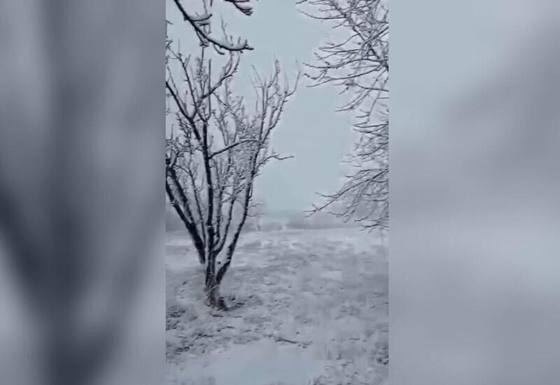 В Армении выпал снег