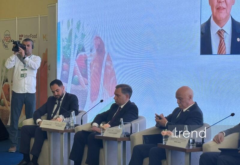 В Бакинском порту ведутся работы по расширению мощности до 25 млн тонн