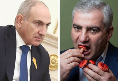 Пашинян пообещал накормить Карапетяна галлюциногенами