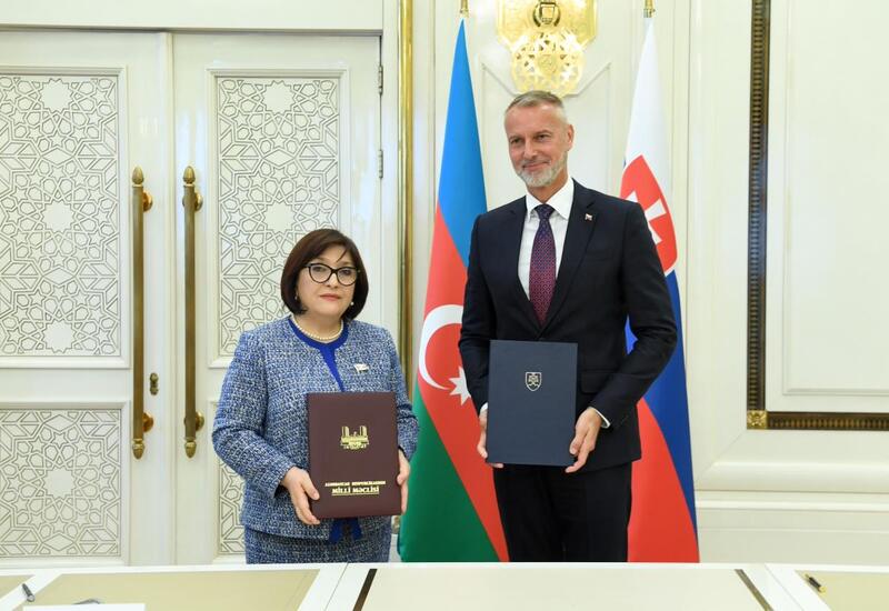 Sahibə Qafarova Slovakiya Milli Şurasının sədri ilə görüşüb