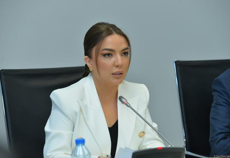 Азербайджан формирует новую модель инклюзивного городского развития