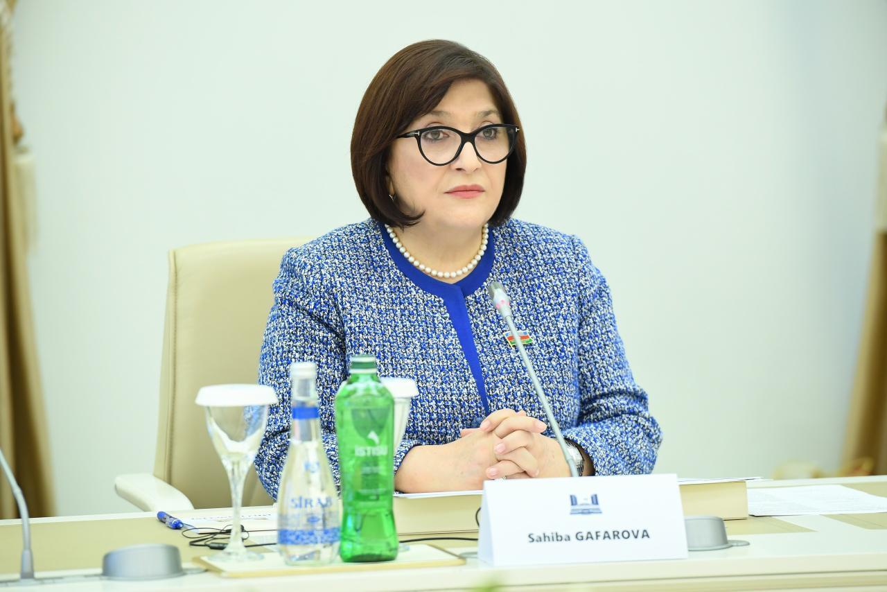 Sahibə Qafarova Slovakiya Milli Şurasının sədri ilə görüşüb