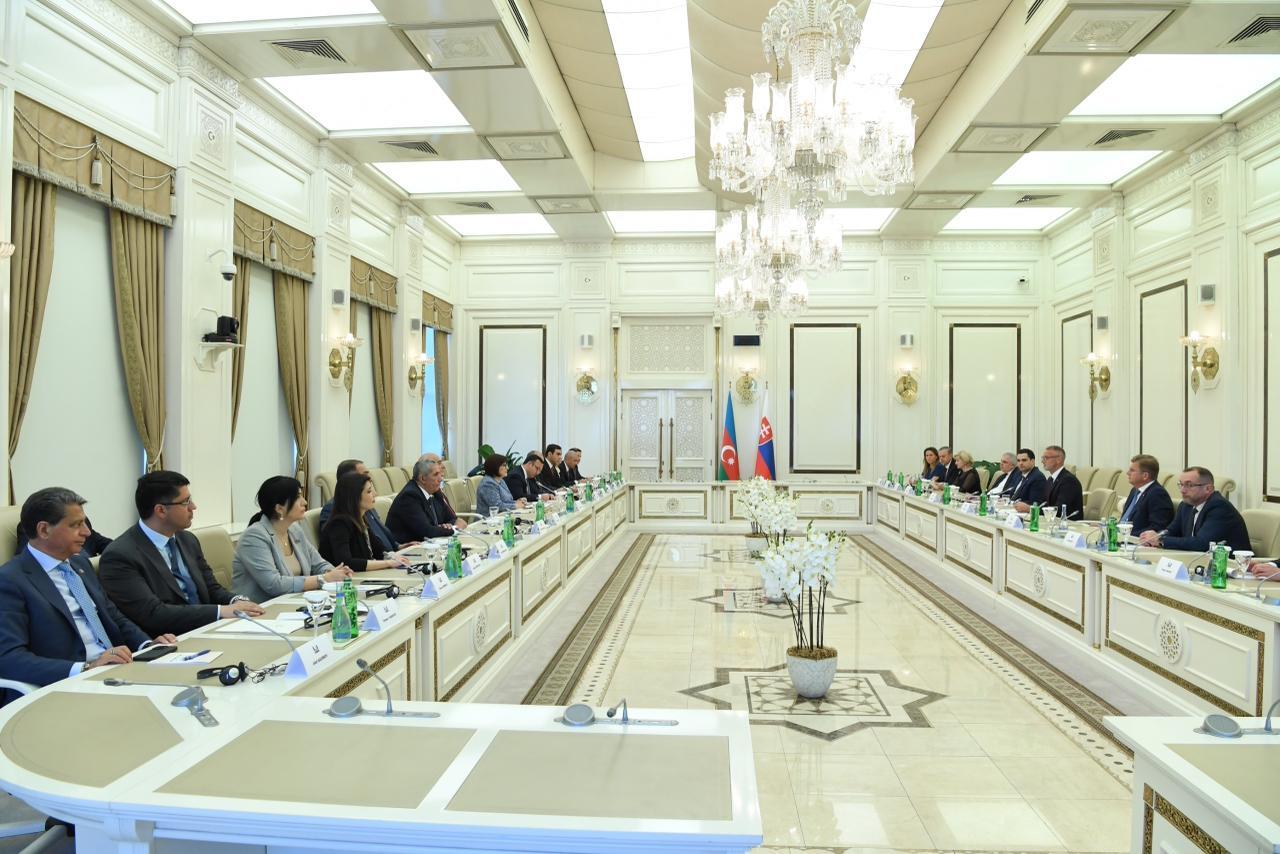 Sahibə Qafarova Slovakiya Milli Şurasının sədri ilə görüşüb