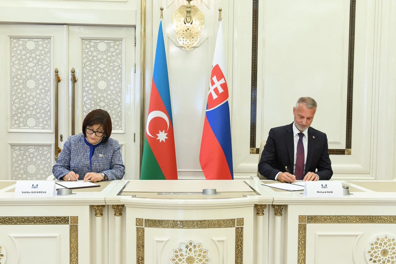 Sahibə Qafarova Slovakiya Milli Şurasının sədri ilə görüşüb
