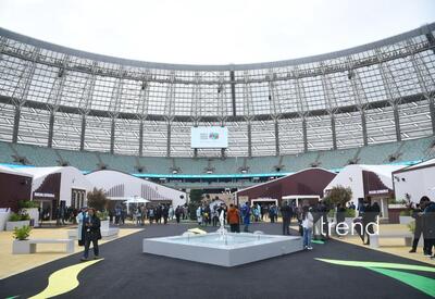 Первый день WUF13 в Баку - ФОТОРЕПОРТАЖ