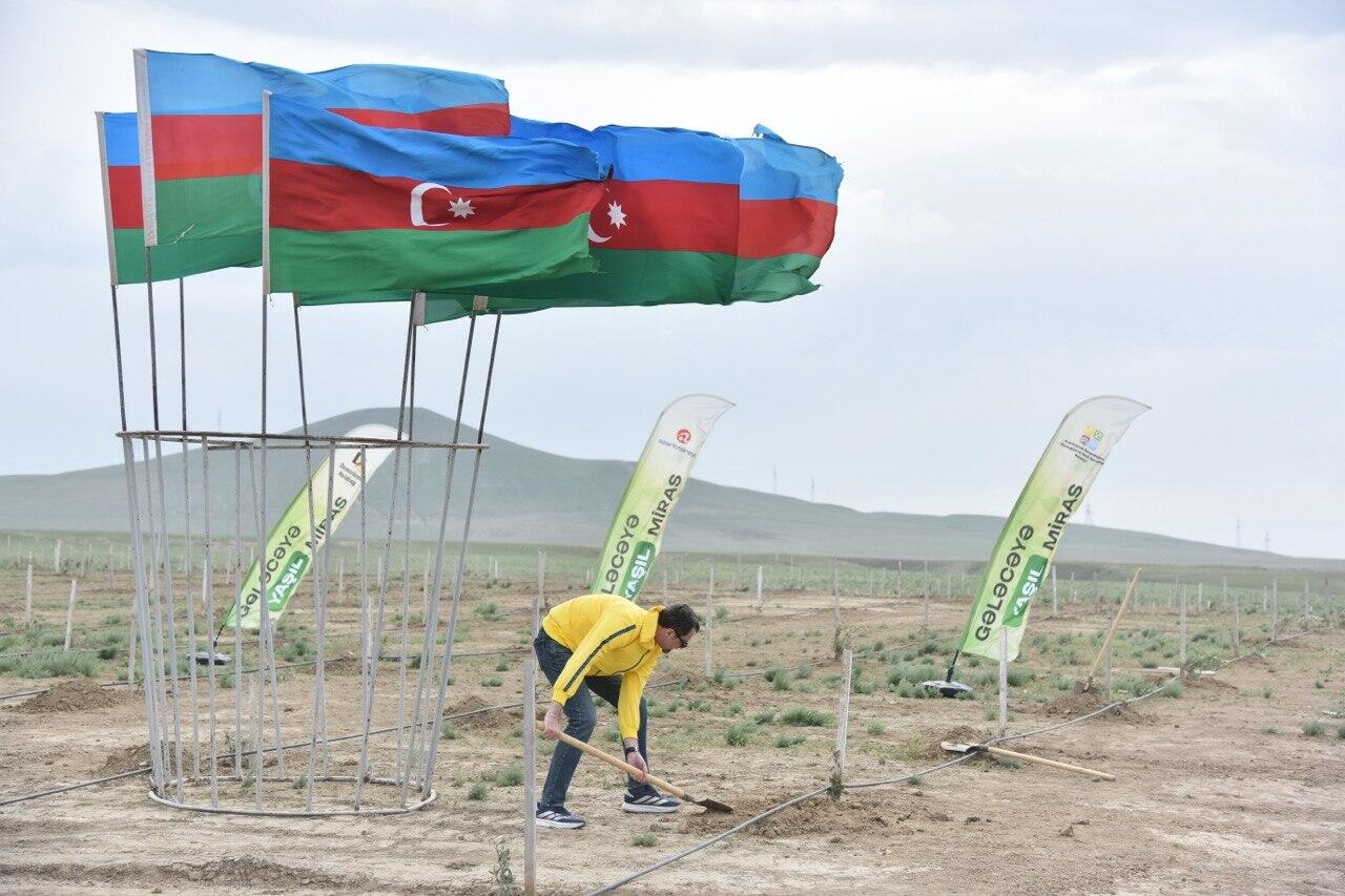 “Gələcəyə yaşıl miras” devizi ilə 40 min ağac əkilib