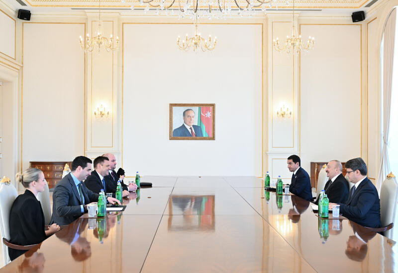 Prezident İlham Əliyev Slovakiya Baş nazirinin müavinini qəbul edib