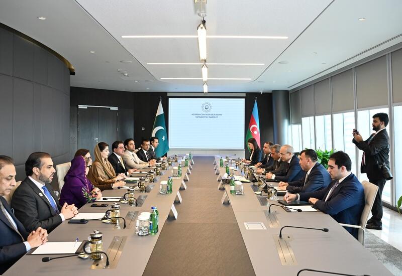 Mikayıl Cabbarov Pəncab əyalətinin Baş naziri ilə görüşüb