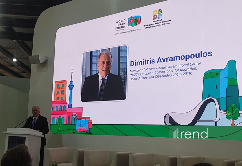 Təbii fəlakətlərlə müzarizə üçün uzunmüddətli beynəlxalq əməkdaşlıq gücləndirilməlidir