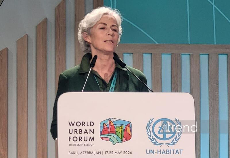 UN-Habitat призывает учитывать мегаполисы при формировании жилищной политики