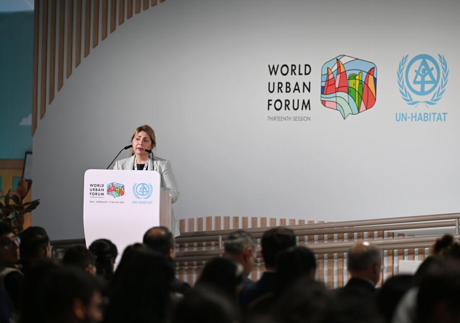 По инициативе вице-президента Фонда Гейдара Алиева Лейлы Алиевой на WUF13 обсуждены вопросы чистого воздуха и устойчивого градостроительства