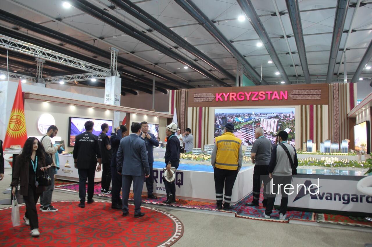 Самые креативные павильоны WUF13 в Баку: Город будущего под куполами и экранами
