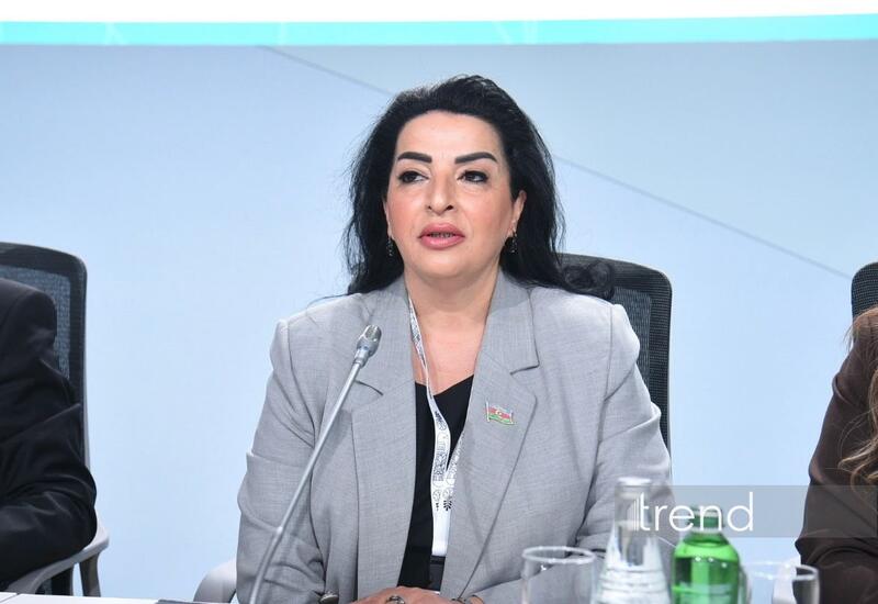 "Умные города" в Карабахе являются примером устойчивого развития Азербайджана