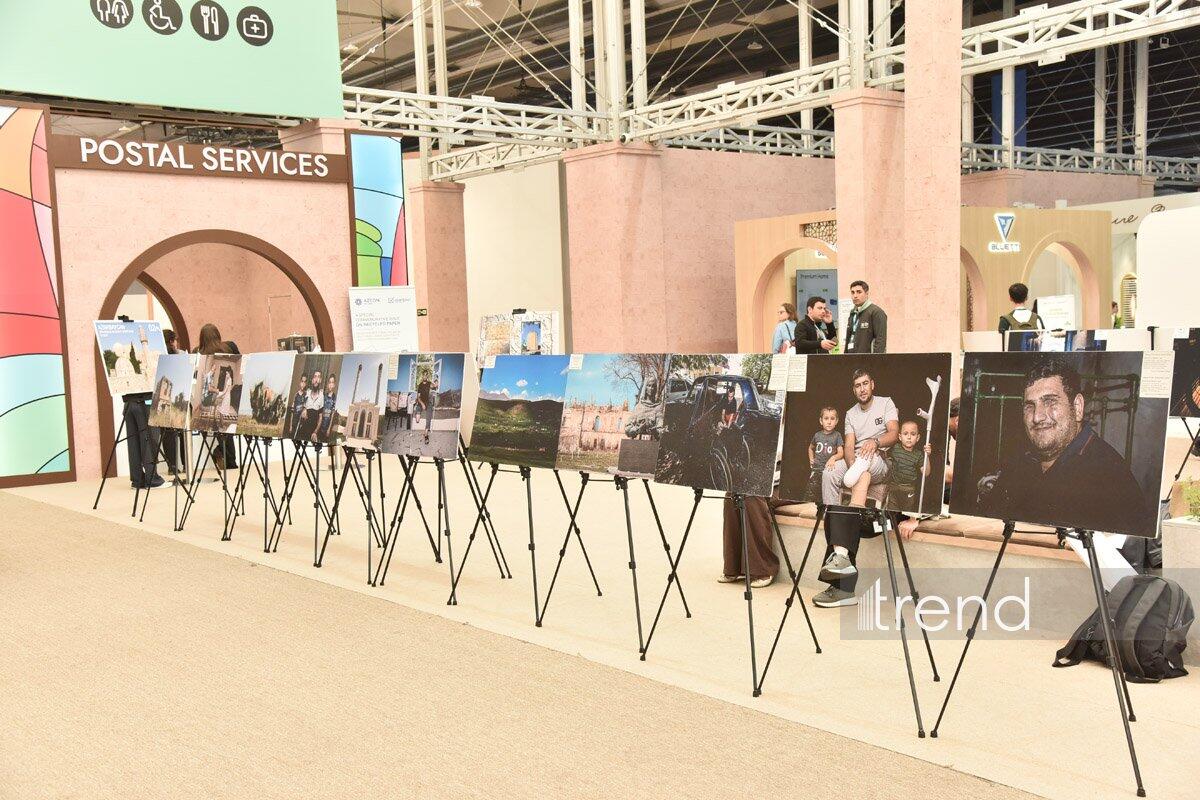 На WUF13 в Баку представлены фотовыставки о городской жизни, минной опасности и урбициде
