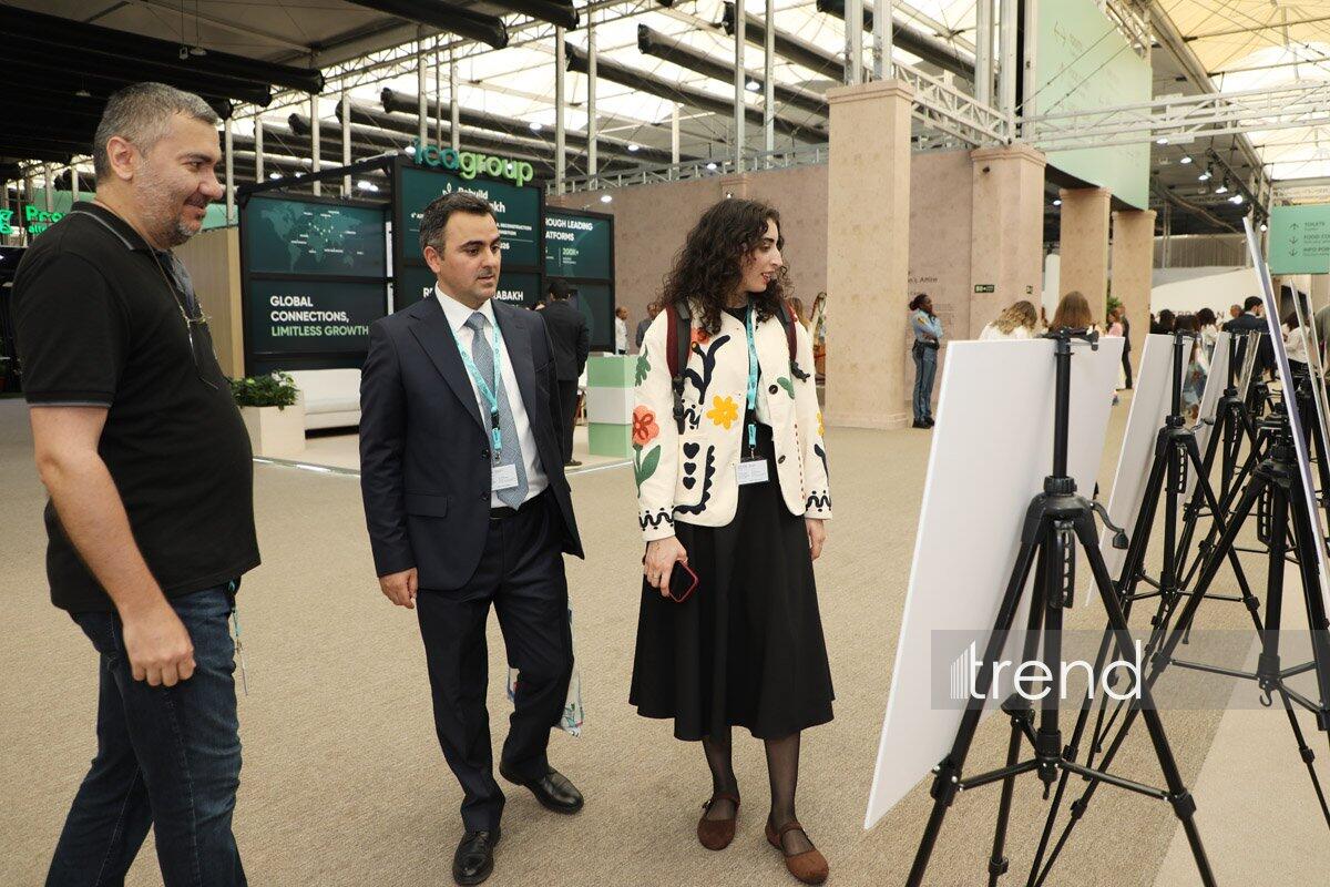 На WUF13 в Баку представлены фотовыставки о городской жизни, минной опасности и урбициде