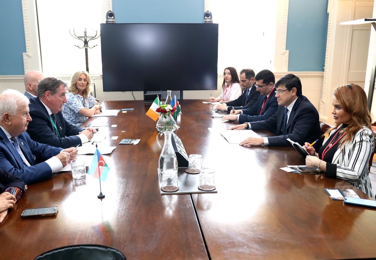 Fuad Muradov İrlandiyada diaspor əlaqələrinin gücləndirilməsini müzakirə edib