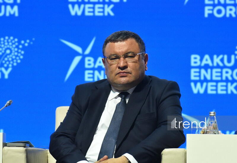 Mərkəzi Asiyada yaşıl enerjinin inkişafı üçün unikal imkanlar mövcuddur
