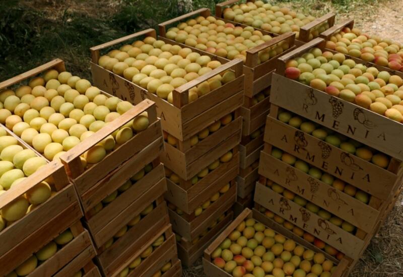 Заменит ли ЕС российский рынок для Армении?