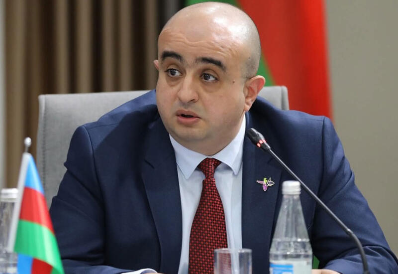 Fuad Çıraqov Gürcüstanda təhsil məsələləri üzrə müşavir oldu