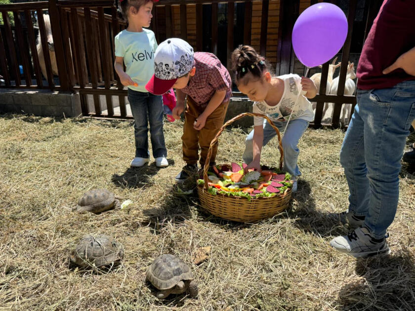 Bakı Zooloji Parkında Uşaqların Beynəlxalq Müdafiəsi Günü münasibətilə bayram tədbiri keçirilib