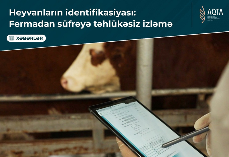 İdentifikasiya olunan heyvanlar: Xəstəliklərin qarşısının alınması və təsərrüfatların inkişafı üçün vacib addım