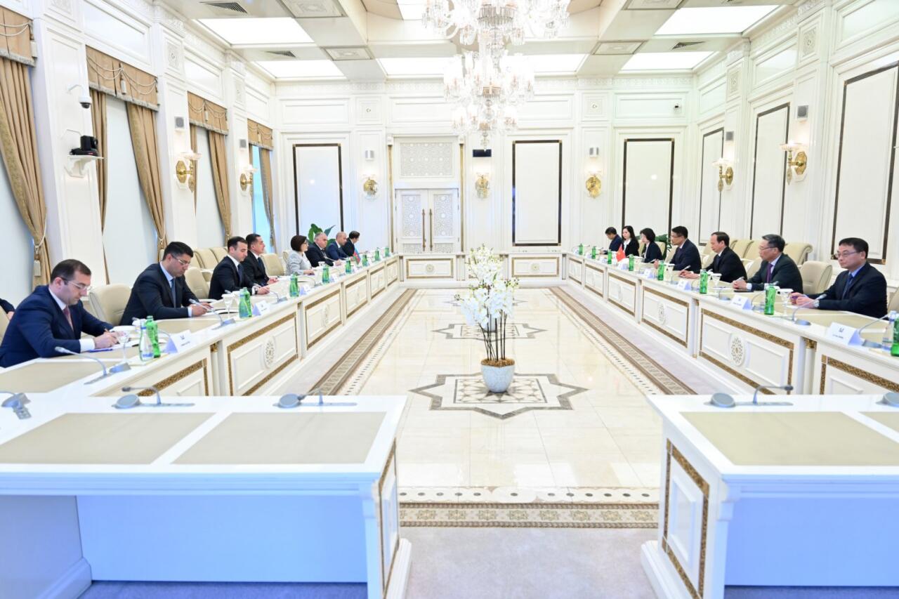 Sahibə Qafarova Vyetnamı Qoşulmama Hərəkatının Parlament Şəbəkəsinfə fəal iştiraka çağırdı