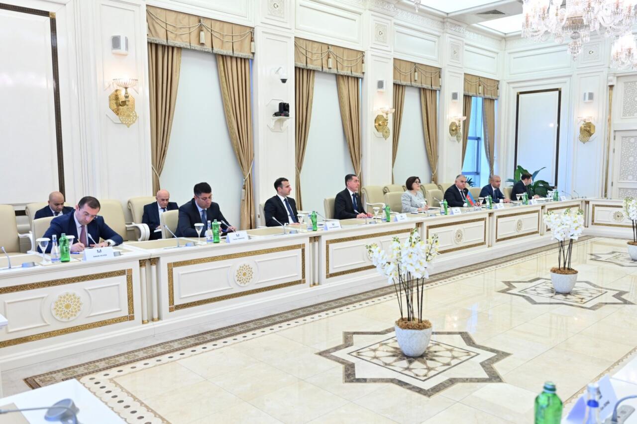 Sahibə Qafarova Vyetnamı Qoşulmama Hərəkatının Parlament Şəbəkəsinfə fəal iştiraka çağırdı