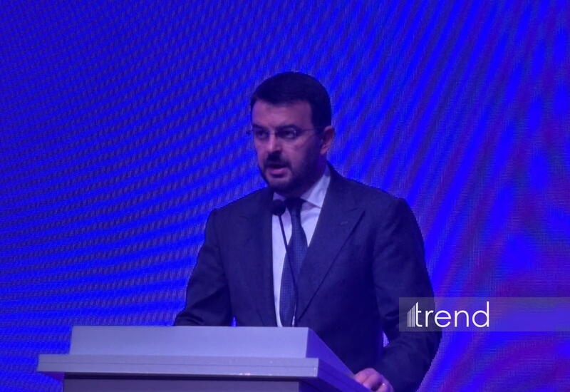 AmCham Azerbaijan о необходимости бизнесу адаптироваться к технологическим изменениям