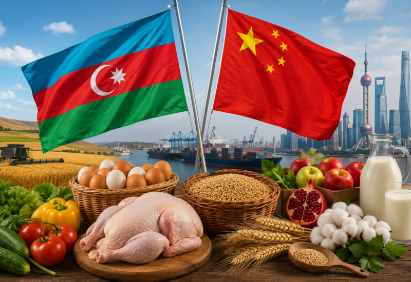 Китайский рынок открывает новые возможности для Азербайджана