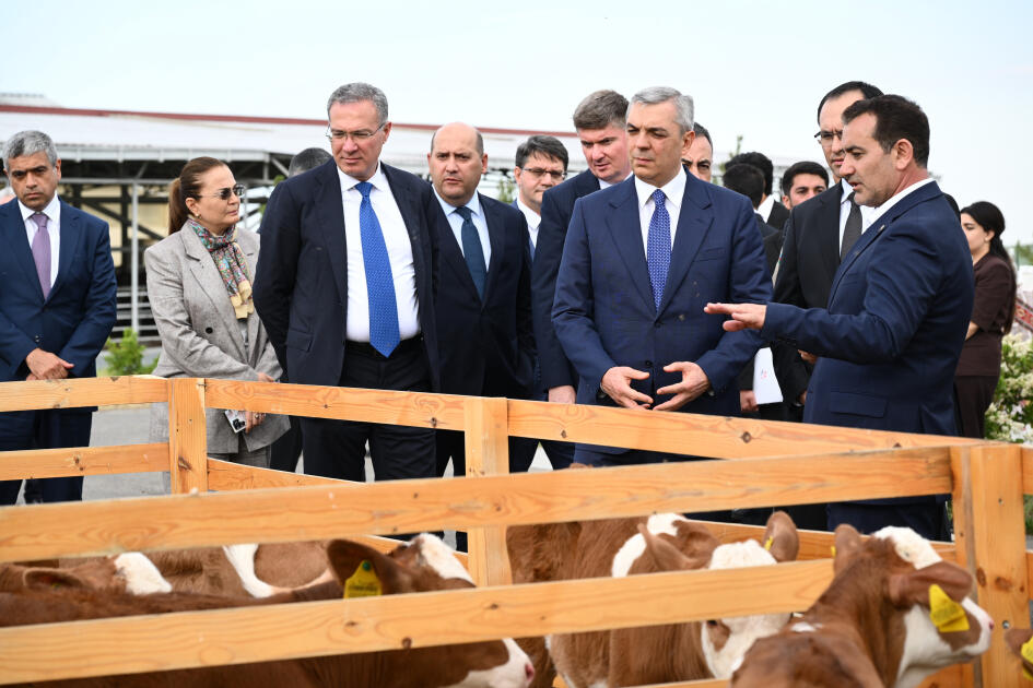 Xocalıda “Qoç Ət”in heyvandarlıq kompleksi ilə tanışlıq olub
